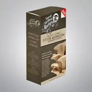 Mushroom Boxes